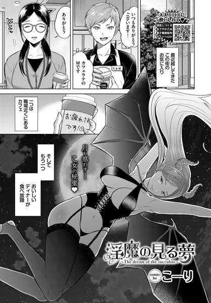 淫魔の見る夢 カバー画像