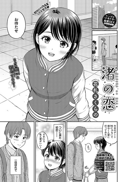 渚の恋 カバー画像