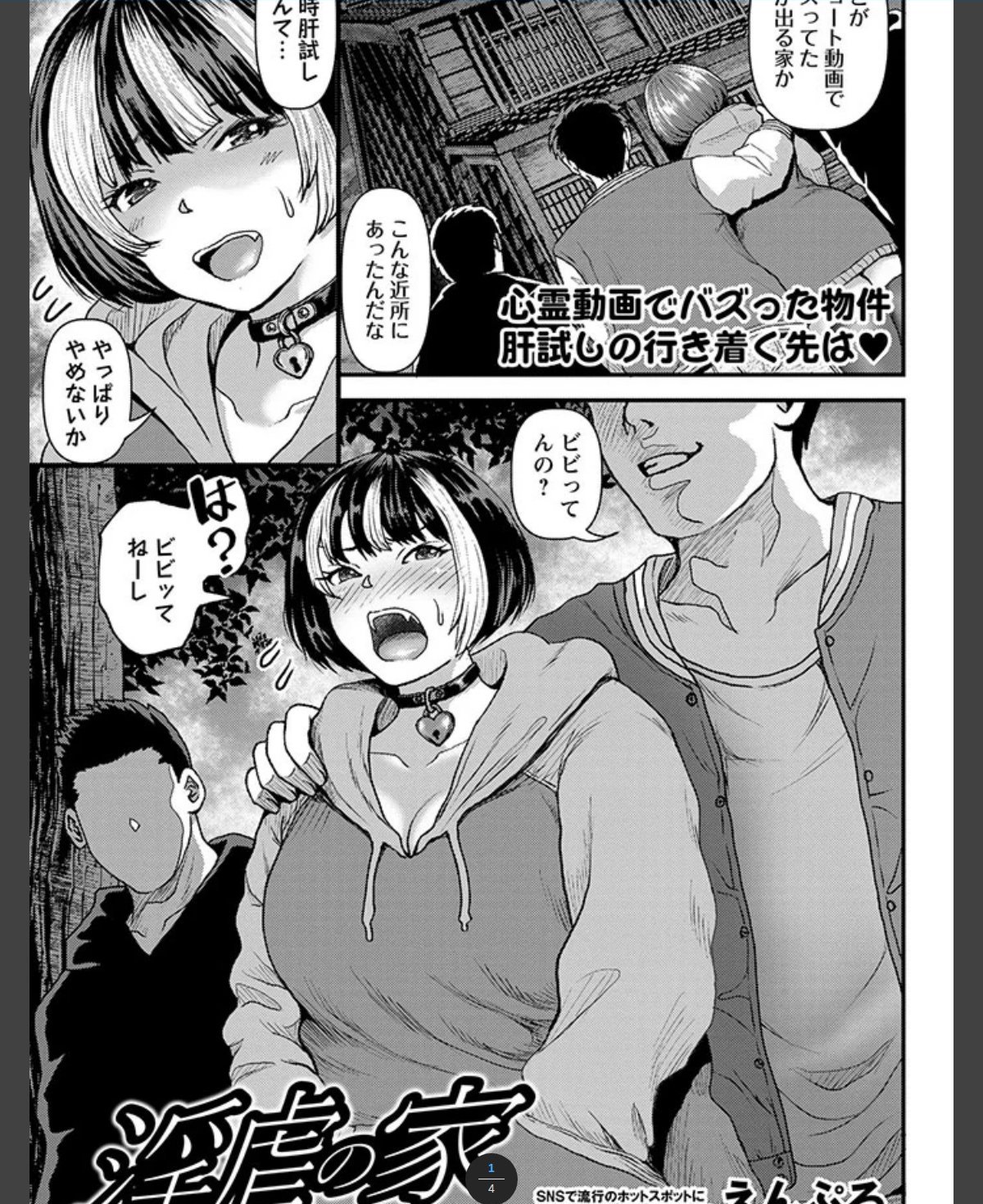 淫虐の家 カバー画像