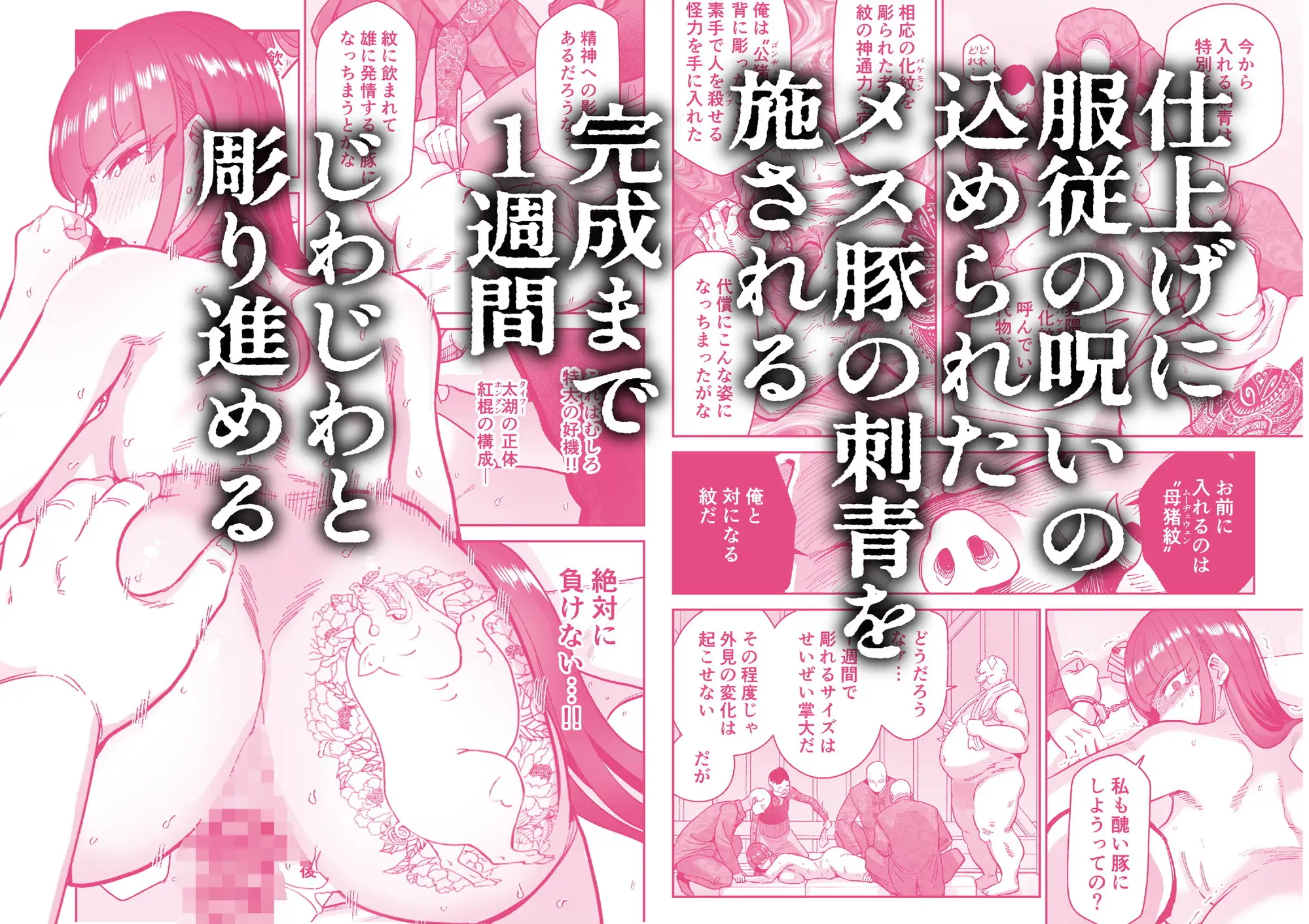 サンプルページ5