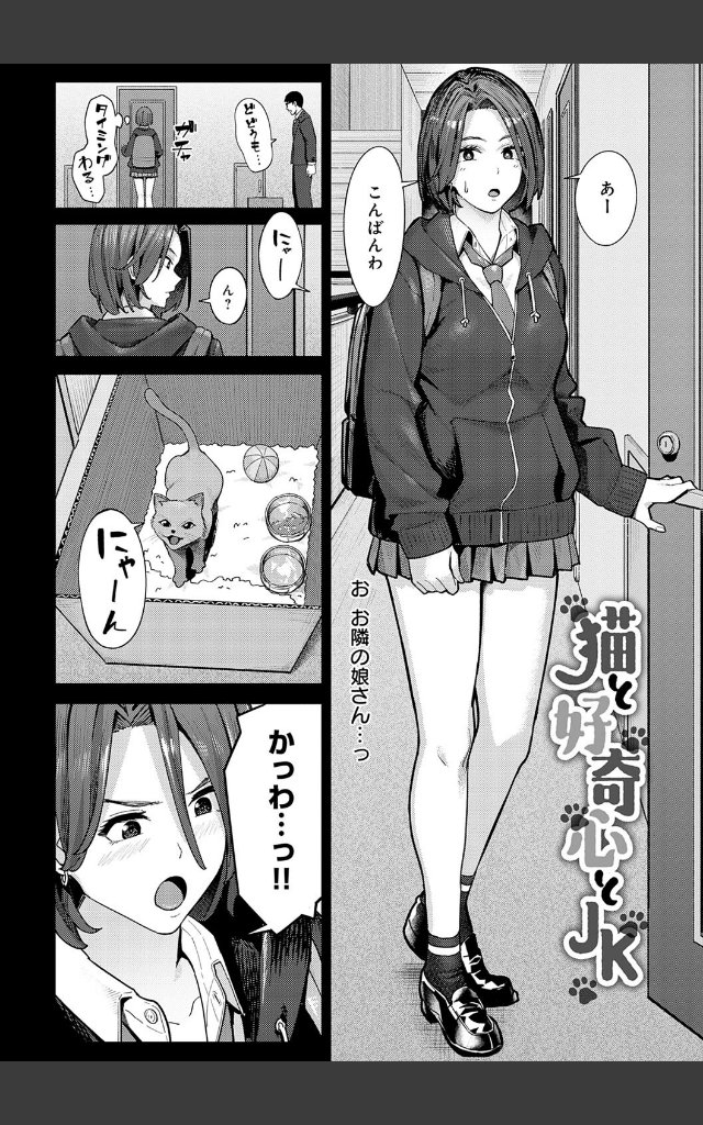 サンプルページ11