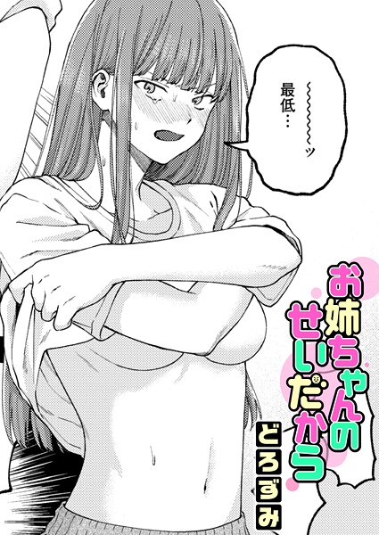 お姉ちゃんのせいだから カバー画像